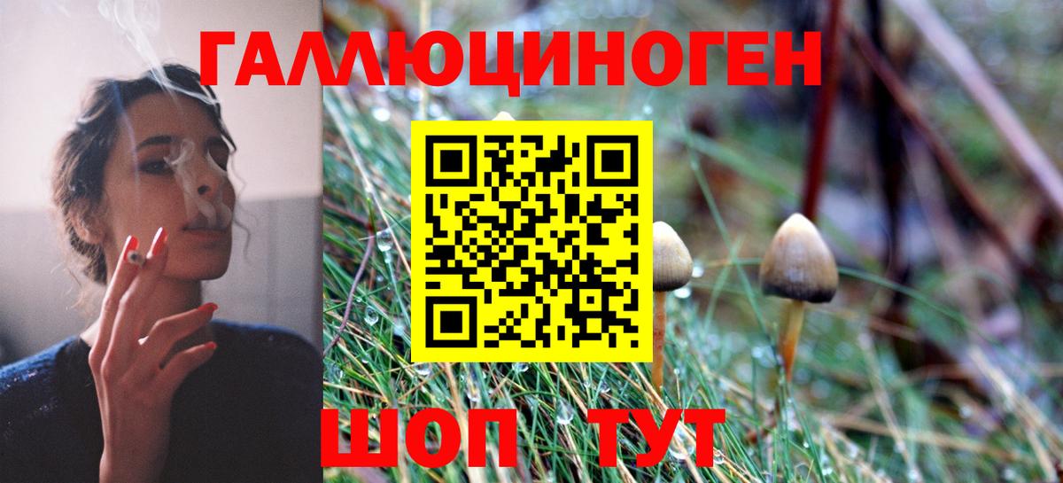 Псилоцибиновые грибы мухоморы Амурск