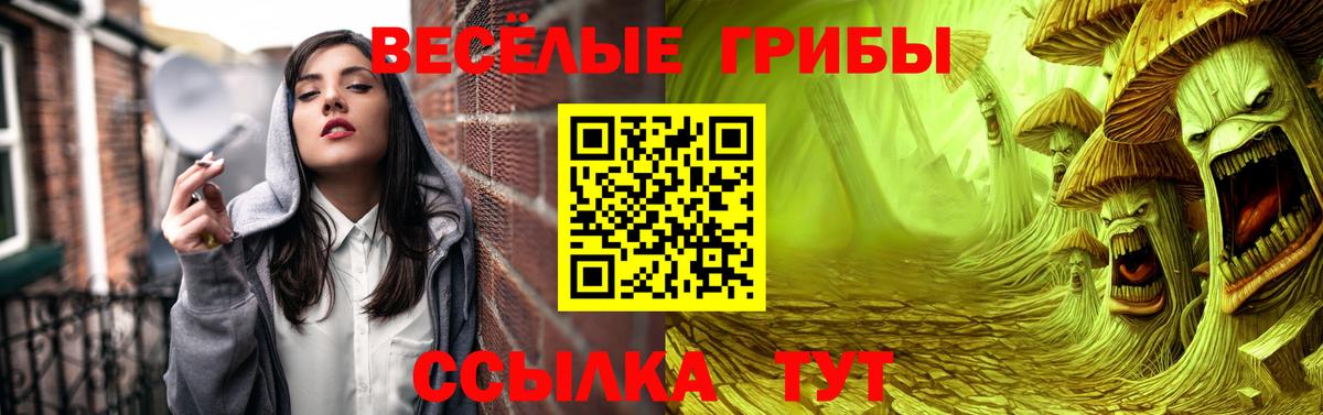 Амурск  Псилоцибиновые грибы прущие грибы  продажа наркотиков  Вход с VPN 